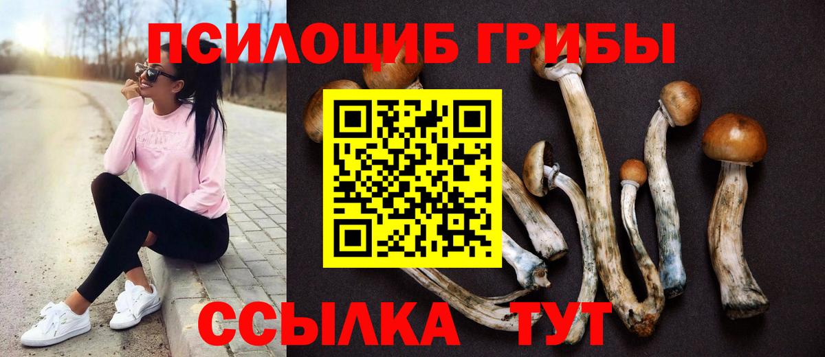Галлюциногенные грибы Magic Shrooms  Галлюциногенные грибы ЛСД  Елабуга  Вход с VPN 